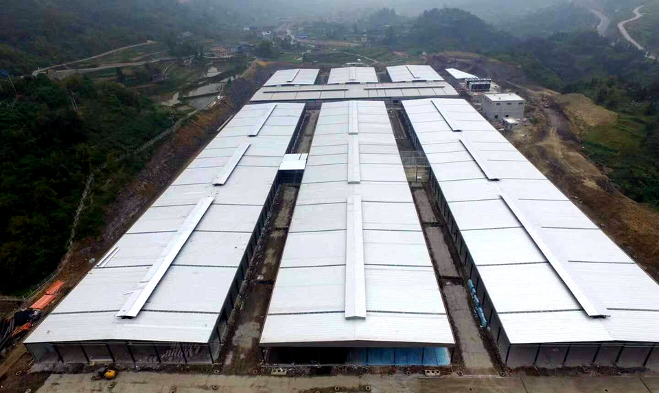 連云港食用菌項目(圖1)