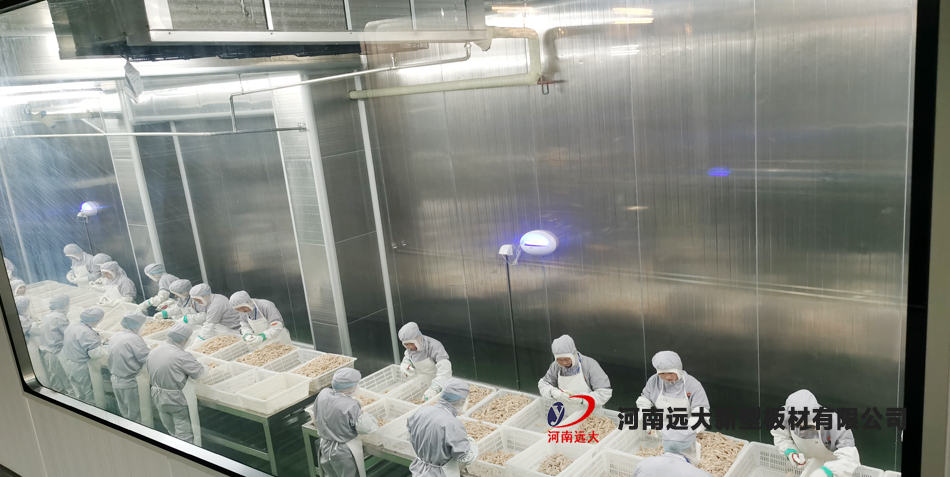 九多肉多項(xiàng)目(圖2)